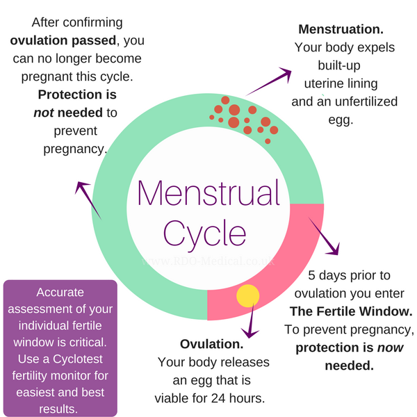 When Are the Best Times to Conceive